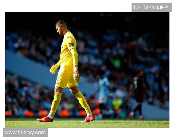 科索沃男足球星的成长历程与国际赛场影响力分析